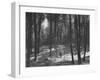 Gunder Hagg Training in the Woods Near Malmo-null-Framed Premium Photographic Print