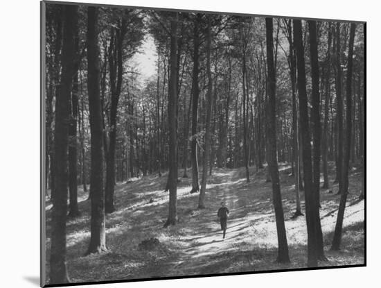 Gunder Hagg Training in the Woods Near Malmo-null-Mounted Photographic Print