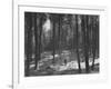 Gunder Hagg Training in the Woods Near Malmo-null-Framed Photographic Print