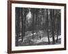 Gunder Hagg Training in the Woods Near Malmo-null-Framed Photographic Print