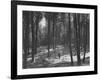 Gunder Hagg Training in the Woods Near Malmo-null-Framed Photographic Print