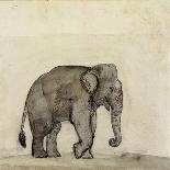Elephant, C.1790-Gungaram Tambat-Framed Stretched Canvas