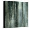 Gunmetal III-J^ McKenzie-Stretched Canvas