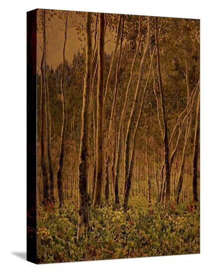 Stretched Canvas Print, , large