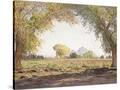 Stretched Canvas
