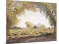 Wood Mount