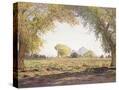 Stretched Canvas