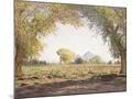 Wood Mount
