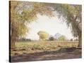 Stretched Canvas
