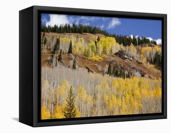 Gunnison National Forest, Colorado, USA-Jamie & Judy Wild-Framed Stretched Canvas