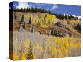 Gunnison National Forest, Colorado, USA-Jamie & Judy Wild-Stretched Canvas