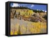 Gunnison National Forest, Colorado, USA-Jamie & Judy Wild-Framed Stretched Canvas