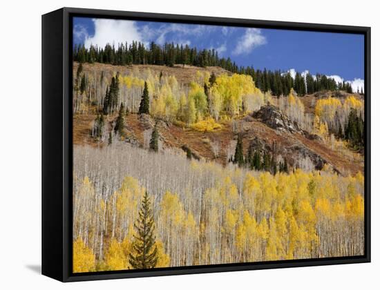 Gunnison National Forest, Colorado, USA-Jamie & Judy Wild-Framed Stretched Canvas