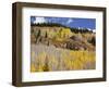 Gunnison National Forest, Colorado, USA-Jamie & Judy Wild-Framed Photographic Print