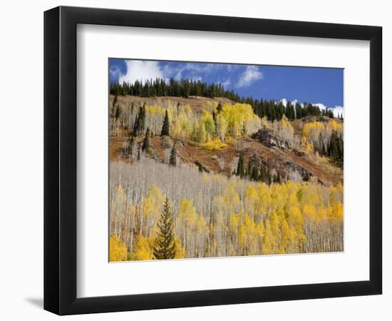 Gunnison National Forest, Colorado, USA-Jamie & Judy Wild-Framed Photographic Print