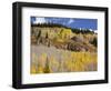 Gunnison National Forest, Colorado, USA-Jamie & Judy Wild-Framed Photographic Print