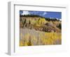 Gunnison National Forest, Colorado, USA-Jamie & Judy Wild-Framed Photographic Print