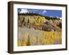 Gunnison National Forest, Colorado, USA-Jamie & Judy Wild-Framed Photographic Print