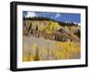 Gunnison National Forest, Colorado, USA-Jamie & Judy Wild-Framed Photographic Print