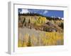 Gunnison National Forest, Colorado, USA-Jamie & Judy Wild-Framed Photographic Print