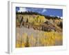 Gunnison National Forest, Colorado, USA-Jamie & Judy Wild-Framed Photographic Print