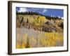 Gunnison National Forest, Colorado, USA-Jamie & Judy Wild-Framed Photographic Print