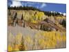 Gunnison National Forest, Colorado, USA-Jamie & Judy Wild-Mounted Photographic Print