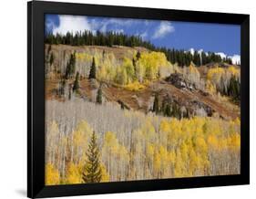 Gunnison National Forest, Colorado, USA-Jamie & Judy Wild-Framed Photographic Print