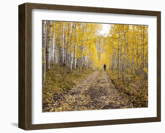 Gunnison National Forest, Colorado, USA-Jamie & Judy Wild-Framed Photographic Print