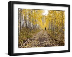 Gunnison National Forest, Colorado, USA-Jamie & Judy Wild-Framed Photographic Print