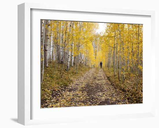 Gunnison National Forest, Colorado, USA-Jamie & Judy Wild-Framed Photographic Print