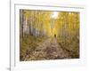 Gunnison National Forest, Colorado, USA-Jamie & Judy Wild-Framed Photographic Print