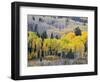 Gunnison National Forest, Colorado, USA-Jamie & Judy Wild-Framed Photographic Print