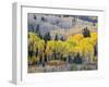 Gunnison National Forest, Colorado, USA-Jamie & Judy Wild-Framed Photographic Print