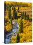 Gunnison National Forest, Colorado, USA-Cathy & Gordon Illg-Stretched Canvas