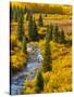 Gunnison National Forest, Colorado, USA-Cathy & Gordon Illg-Stretched Canvas