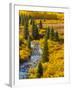 Gunnison National Forest, Colorado, USA-Cathy & Gordon Illg-Framed Premium Photographic Print