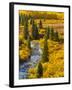 Gunnison National Forest, Colorado, USA-Cathy & Gordon Illg-Framed Premium Photographic Print