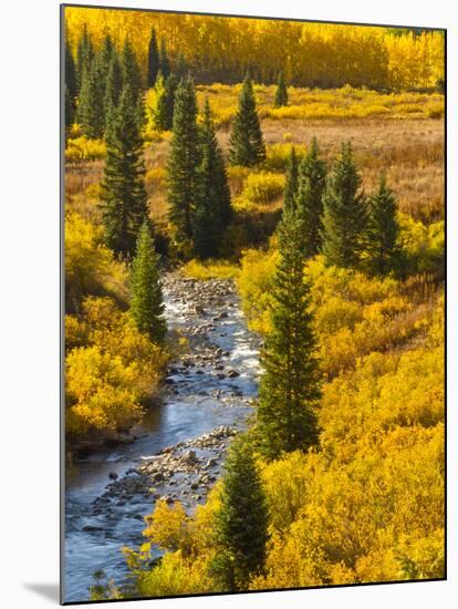 Gunnison National Forest, Colorado, USA-Cathy & Gordon Illg-Mounted Premium Photographic Print