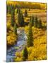 Gunnison National Forest, Colorado, USA-Cathy & Gordon Illg-Mounted Premium Photographic Print