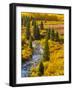 Gunnison National Forest, Colorado, USA-Cathy & Gordon Illg-Framed Photographic Print