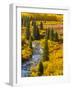 Gunnison National Forest, Colorado, USA-Cathy & Gordon Illg-Framed Photographic Print