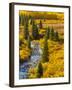 Gunnison National Forest, Colorado, USA-Cathy & Gordon Illg-Framed Photographic Print