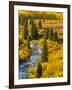 Gunnison National Forest, Colorado, USA-Cathy & Gordon Illg-Framed Photographic Print