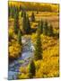 Gunnison National Forest, Colorado, USA-Cathy & Gordon Illg-Mounted Photographic Print