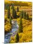 Gunnison National Forest, Colorado, USA-Cathy & Gordon Illg-Mounted Photographic Print