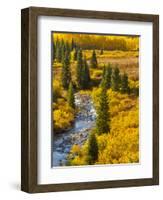 Gunnison National Forest, Colorado, USA-Cathy & Gordon Illg-Framed Premium Photographic Print