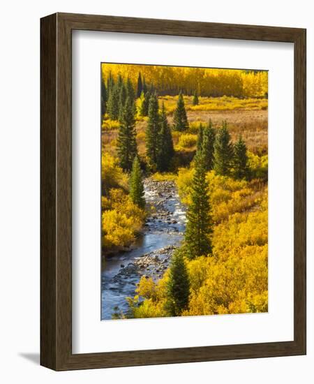 Gunnison National Forest, Colorado, USA-Cathy & Gordon Illg-Framed Premium Photographic Print