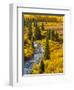 Gunnison National Forest, Colorado, USA-Cathy & Gordon Illg-Framed Premium Photographic Print