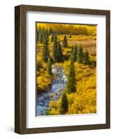 Gunnison National Forest, Colorado, USA-Cathy & Gordon Illg-Framed Photographic Print